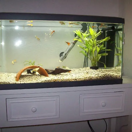 Les Remparts D'alienor