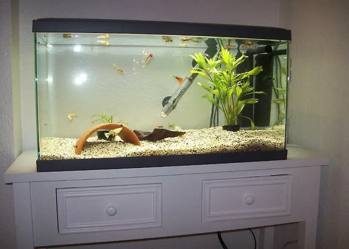 Les Remparts D'alienor